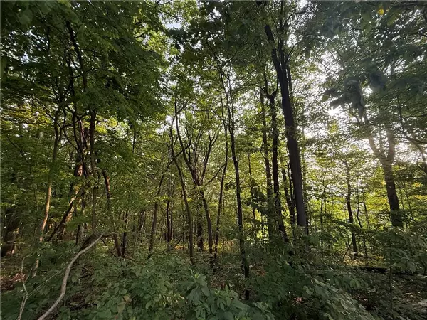 Jasper, GA 30143,Lot 03 Upper Sassafras Pkwy
