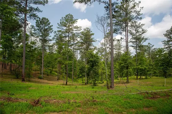 Dahlonega, GA 30533,6480 Highway 52 W