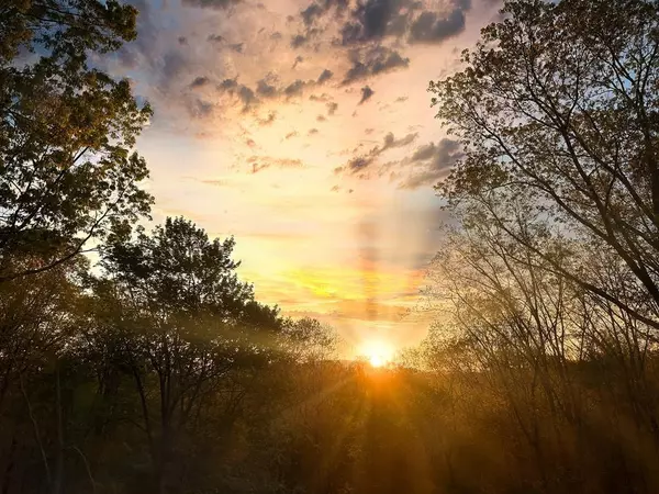 Ellijay, GA 30540,43 Morley DR