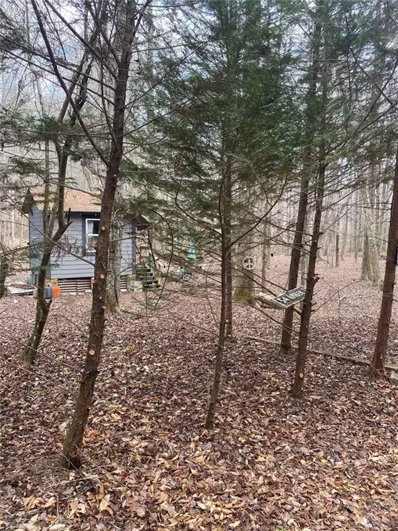 Ellijay, GA 30540,0 Amber LN