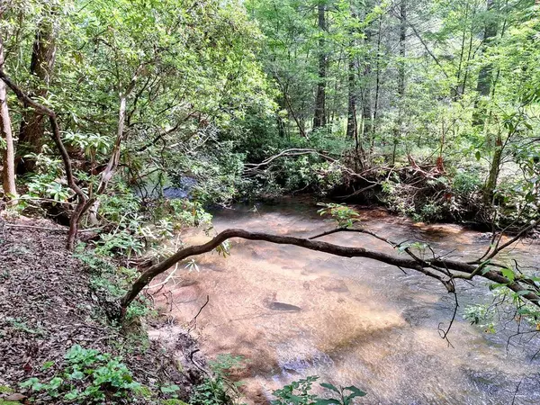 Blue Ridge, GA 30513,56 Laurel DR