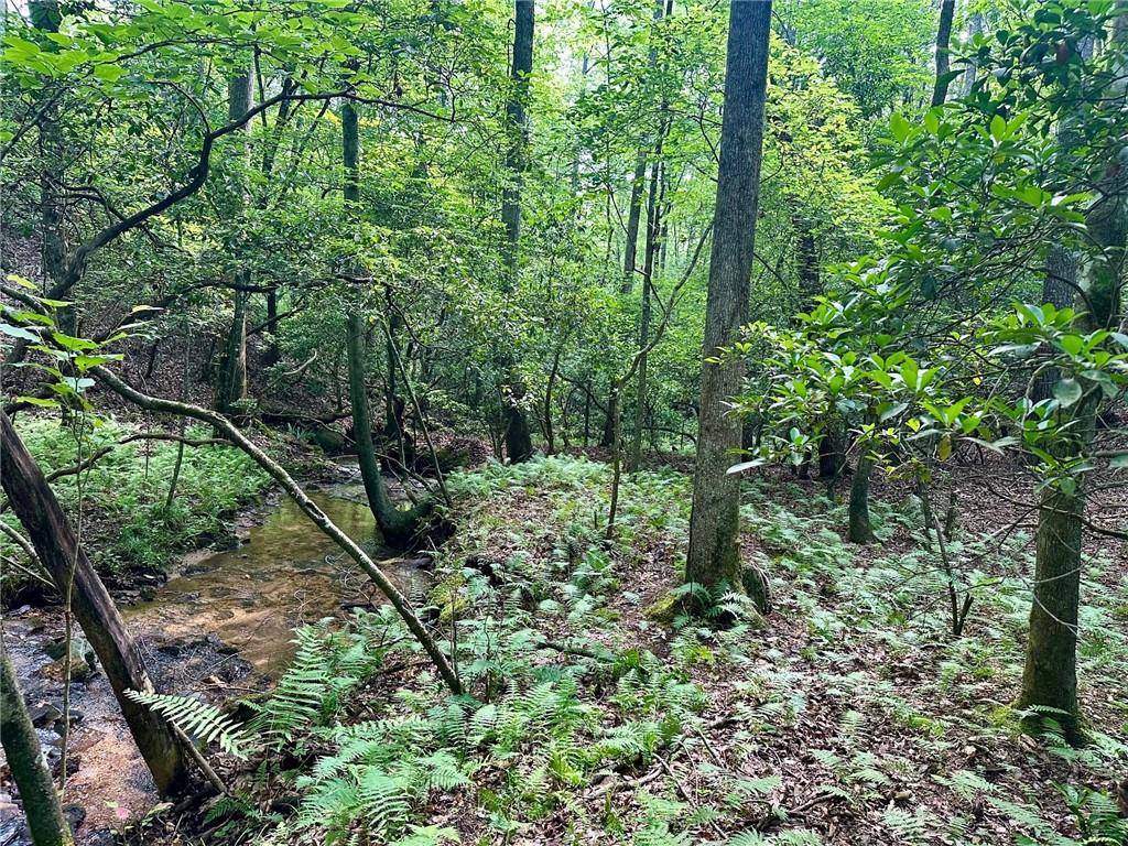 Dahlonega, GA 30533,10-/+ Freedom View Dr.