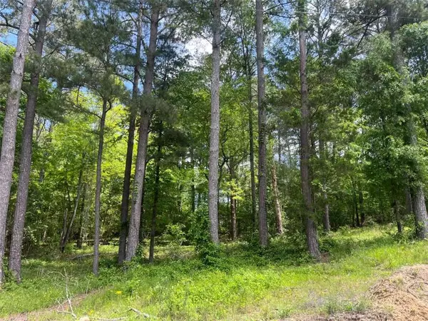 Conyers, GA 30012,2517 Pinewood DR