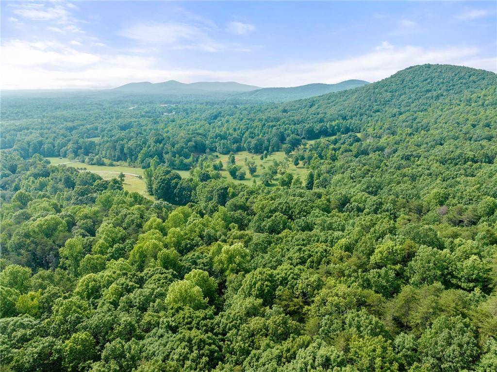 Cleveland, GA 30528,00 Freeman View Trail
