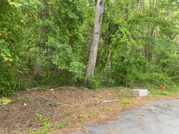 Conyers, GA 30094,1675 McCollum RD