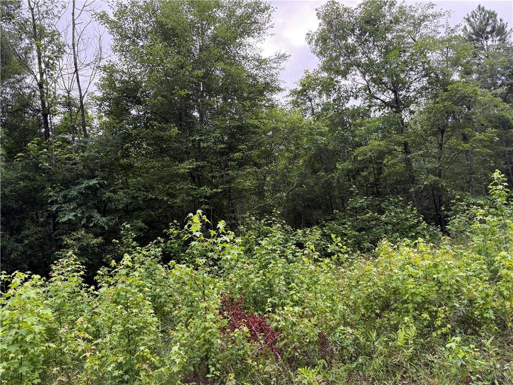 Calhoun, GA 30701,0 Culpepper RD NE