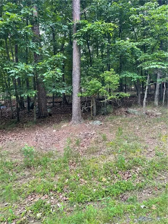 Waleska, GA 30183,133 Pawnee ST