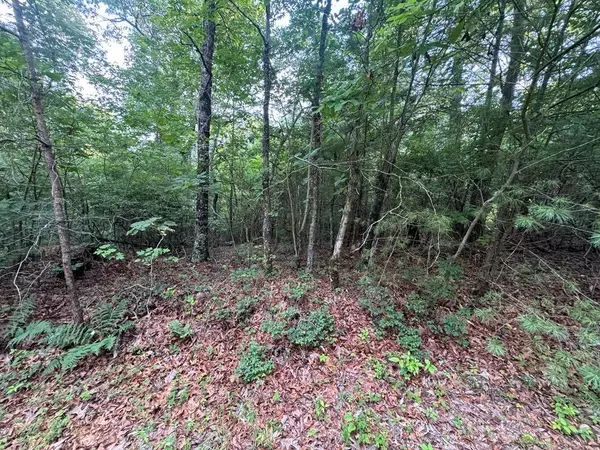 Ranger, GA 30734,793 Woodbine LN