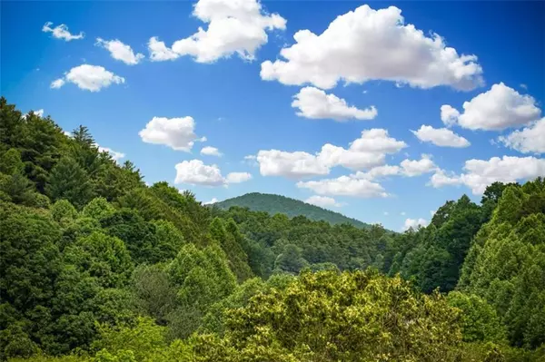 Morganton, GA 30560,2470 New Hope Road