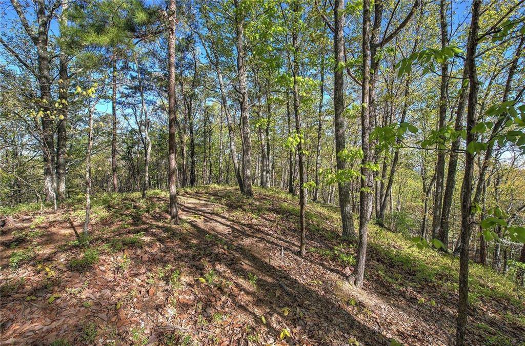 Buchanan, GA 30113,0 McKibben RD