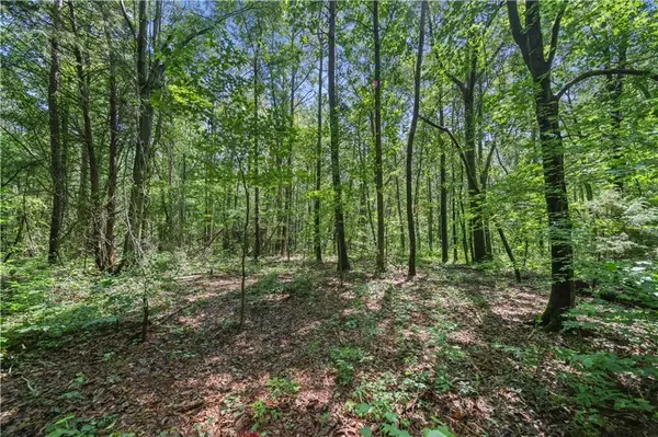 Commerce, GA 30530,Lot 1 Lord RD