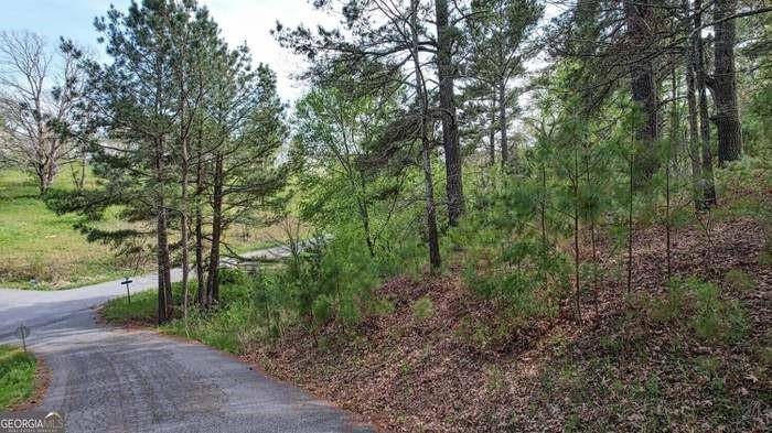 Blairsville, GA 30512,Lot 15 Wintermute Dr
