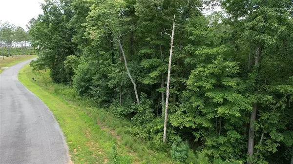 Ellijay, GA 30540,0 High River RD