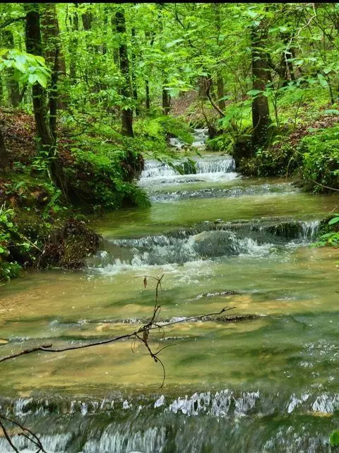 Rockmart, GA 30153,2 Brushy Mountain RD