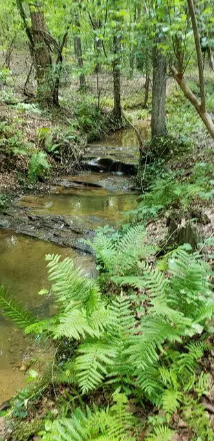 Rockmart, GA 30153,2 Brushy Mountain RD