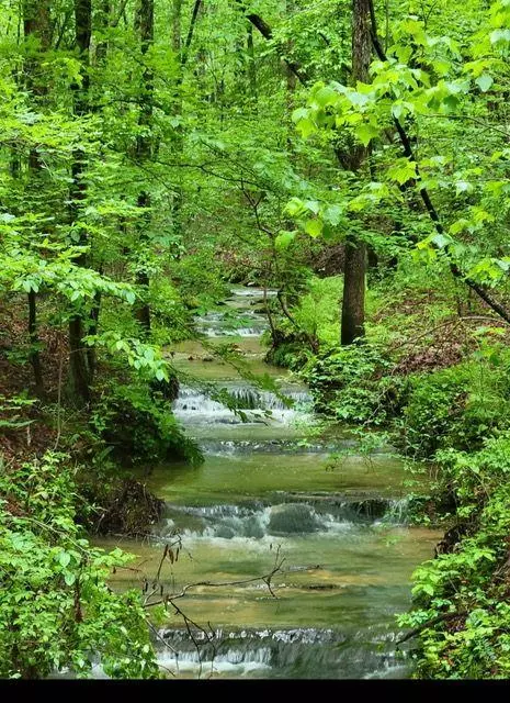 Rockmart, GA 30153,2 Brushy Mountain RD