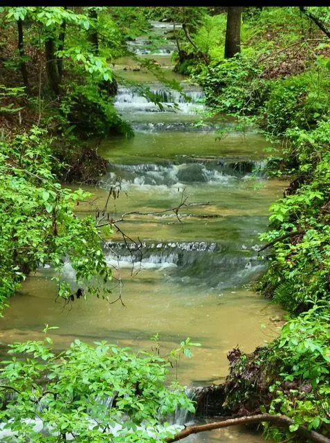 Rockmart, GA 30153,2 Brushy Mountain RD