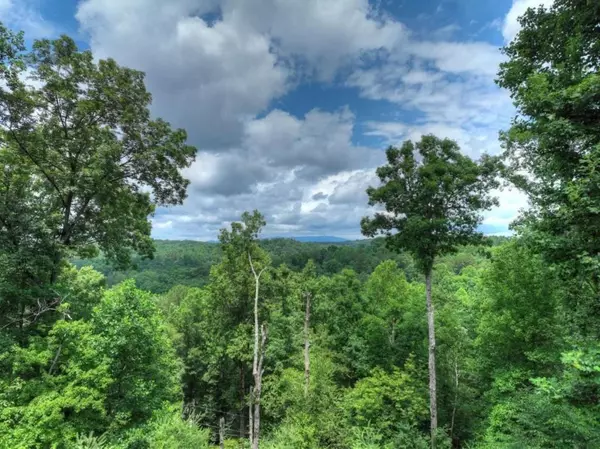 Ellijay, GA 30540,897 Faraday DR