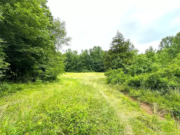 Bowman, GA 30624,2563 Quill RD