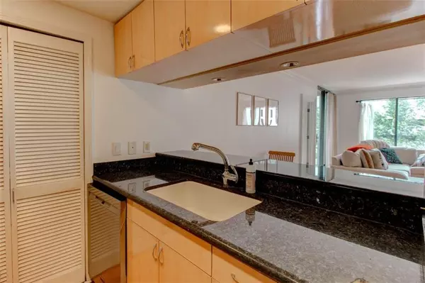 Atlanta, GA 30326,3481 Lakeside DR NE #902