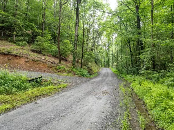 Ellijay, GA 30540,5846 Gates Chapel Road