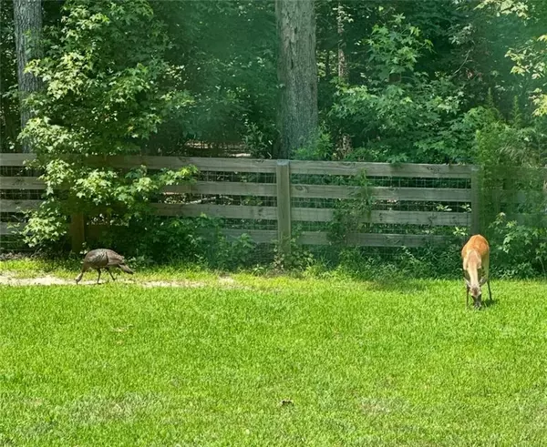 Canton, GA 30114,241 Wooten CT