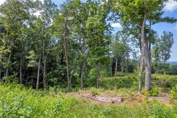 Talking Rock, GA 30175,LOT 4 High Summit DR