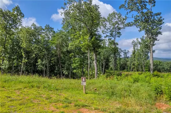 Talking Rock, GA 30175,LOT 4 High Summit DR