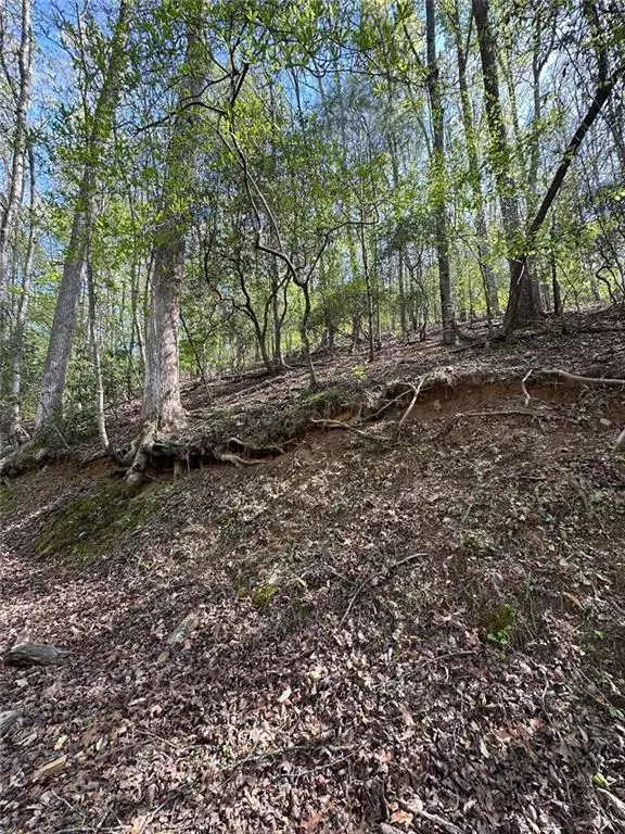 Ellijay, GA 30540,241 Cherokee DR