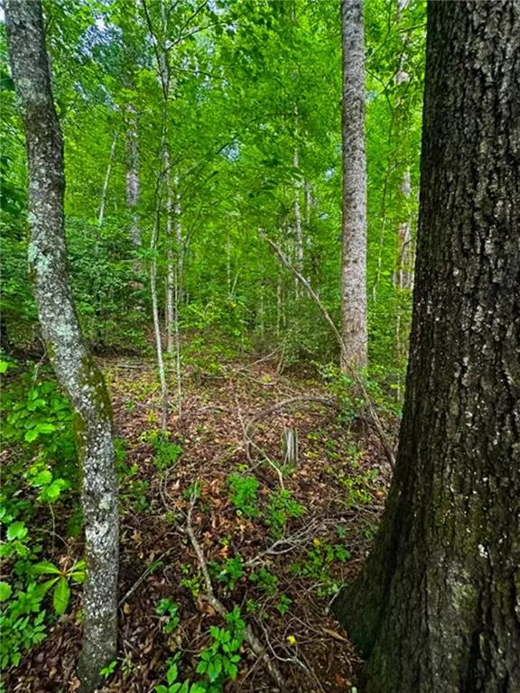 Dahlonega, GA 30533,0 Camp Wahsega RD