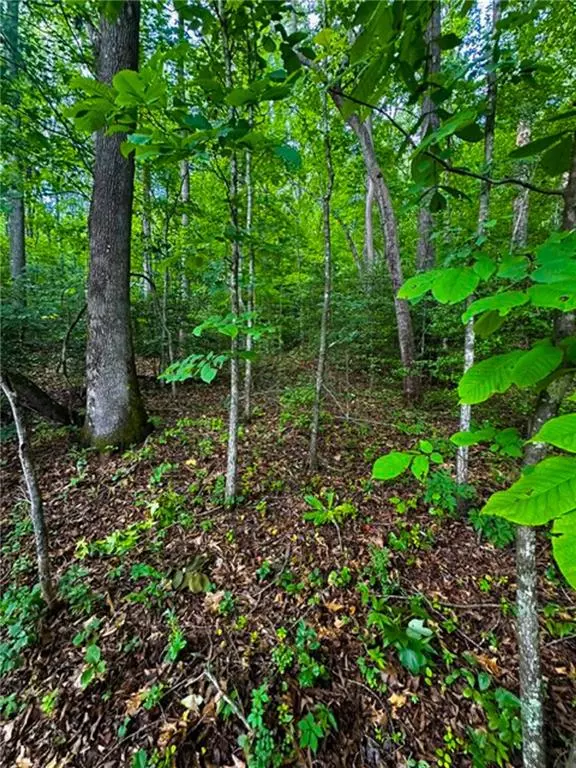 Dahlonega, GA 30533,0 Camp Wahsega RD