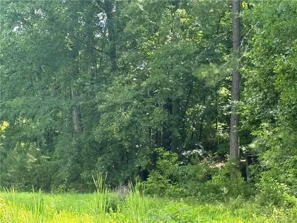 Hampton, GA 30228,0 Turner Rd