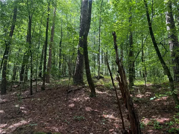 Hampton, GA 30228,0 Turner RD