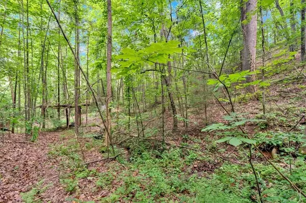 Talking Rock, GA 30175,0 Whitestone DR