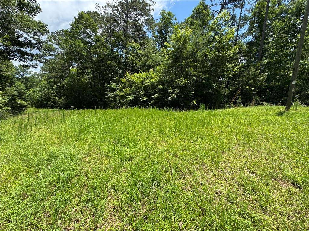 Ellijay, GA 30540,00000 Jumper DR