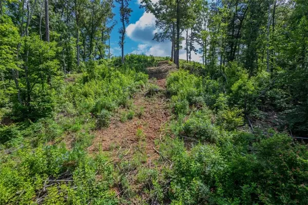 Talking Rock, GA 30175,LT 246 Spear Point DR