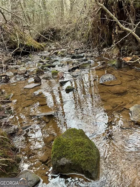 Ellijay, GA 30540,1261 Pleasant Gap RD