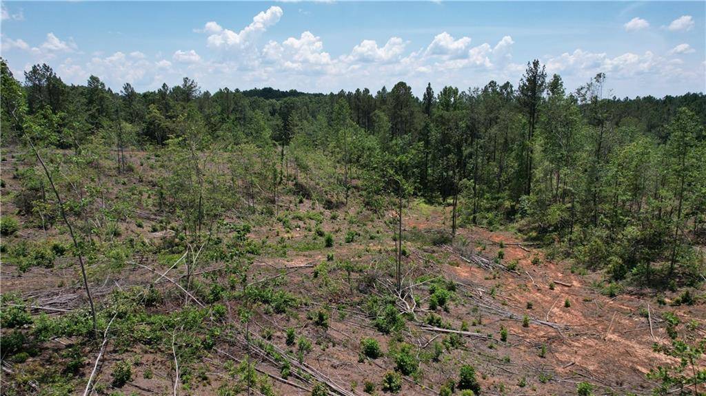 Dawsonville, GA 30534,00 Little MTN
