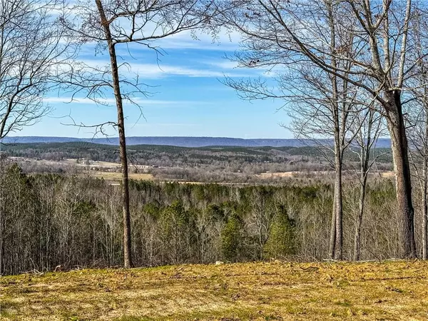 Summerville, GA 30747,0 Back Berryton RD