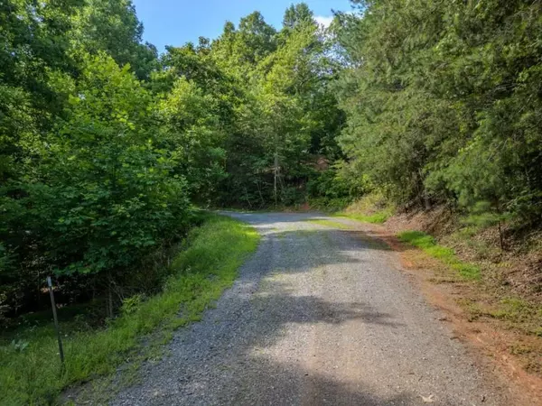 Blue Ridge, GA 30513,LOT 26 Toccoa Preserve PR