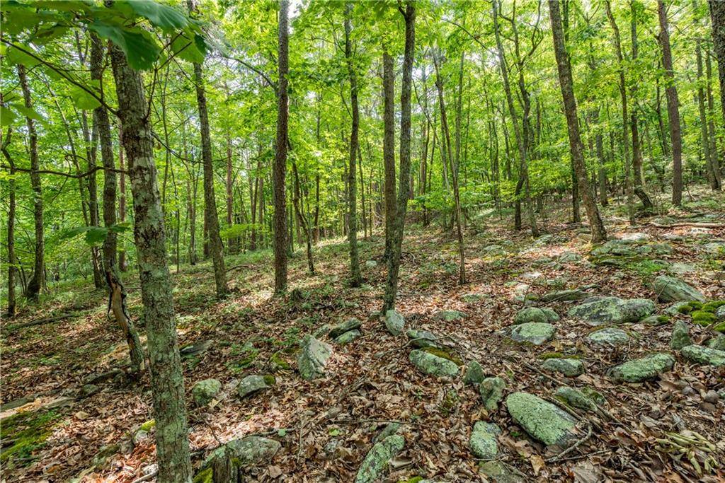 Jasper, GA 30143,307 Stonehaven CT