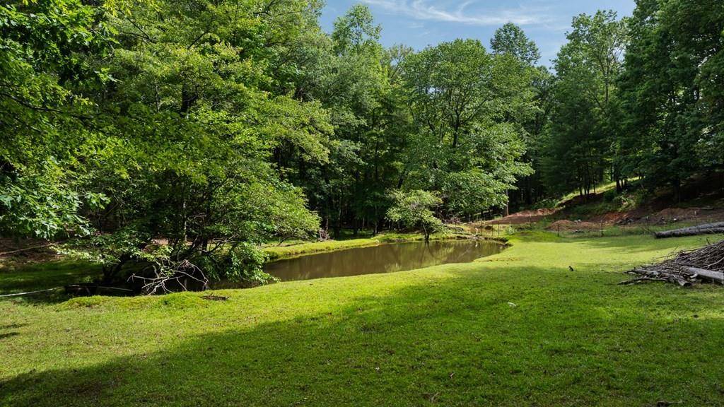 Ellijay, GA 30536,284 Tickanetley RD