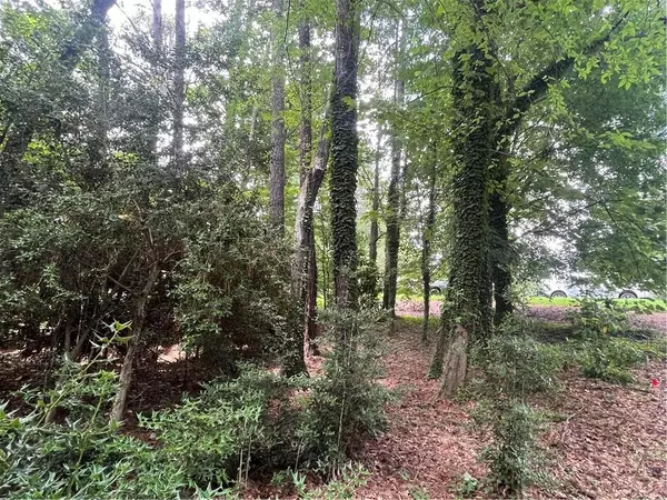 Woodstock, GA 30188,114 Parks CIR