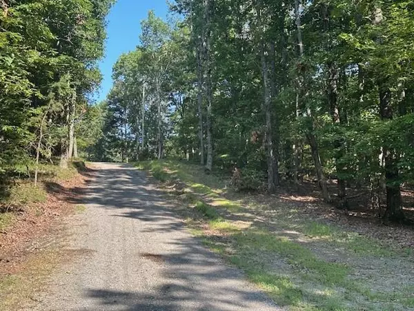 Ranger, GA 30734,0 Bear Mountain RD