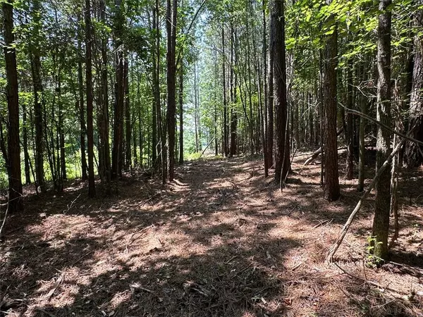 Adairsville, GA 30103,0 Highway 140 Tract D NW