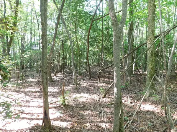 Dahlonega, GA 30533,00 Chester RD