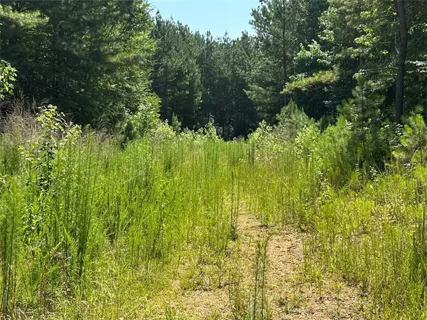 Adairsville, GA 30103,0 Highway 140 Tract E NW