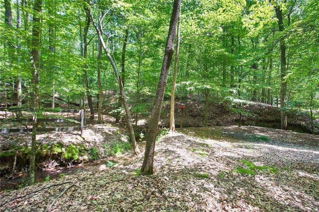 Newnan, GA 30263,LOT20A Tanglewood RD