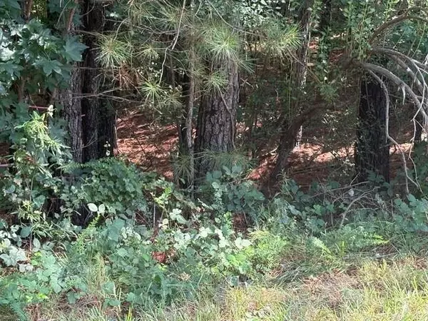 Greenville, GA 30222,0 Amanda CT