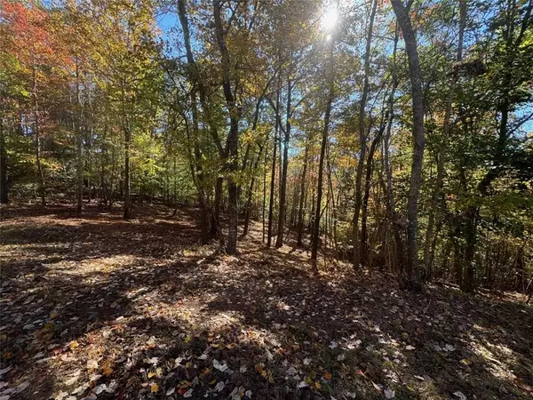 Dahlonega, GA 30533,00 Captain McDonald